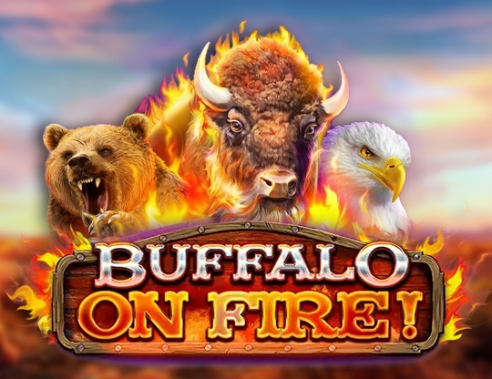 Buffalo on Fire!